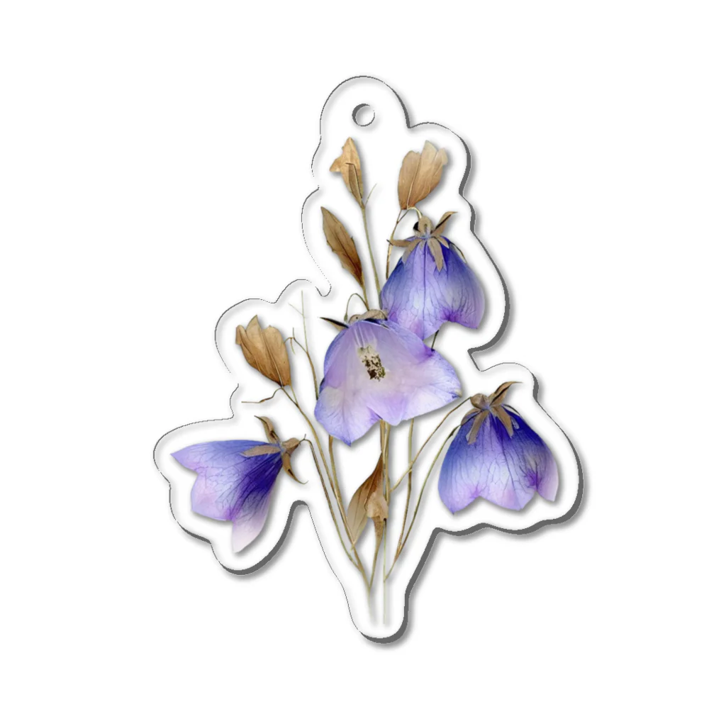 Atelier Petrichor Forestのキキョウ Chinese bellflower アクリルキーホルダー