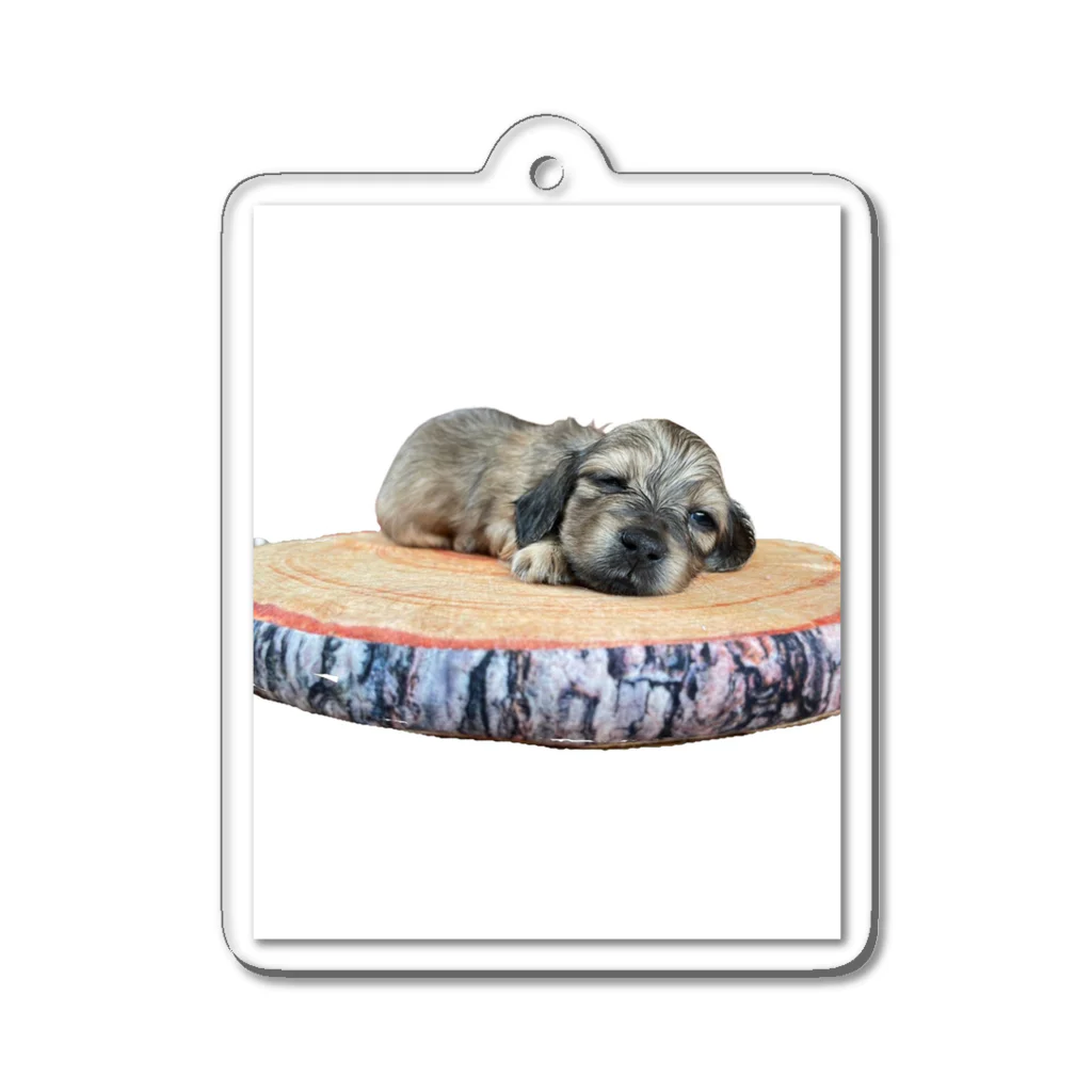 COCORURUの看板犬ティアラちゃん Acrylic Key Chain