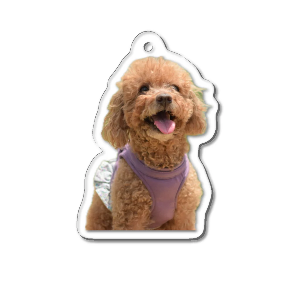 Higerapperの 愛犬PASS Acrylic Key Chain