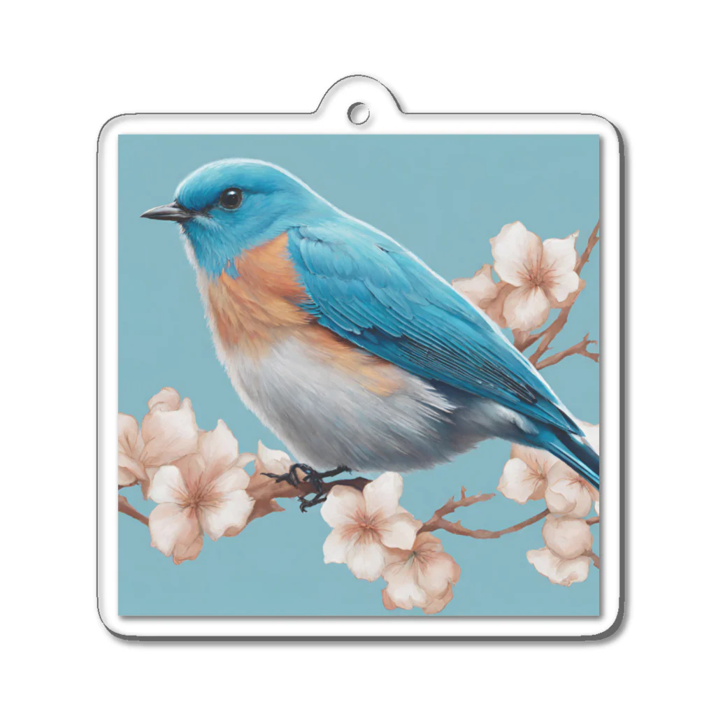 ❤︎cute❤︎のbeautiful blue bird Acrylic Key Chain