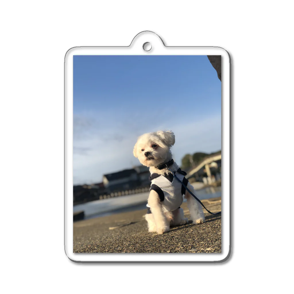 Doggyman_bowwowのエモまるくん Acrylic Key Chain