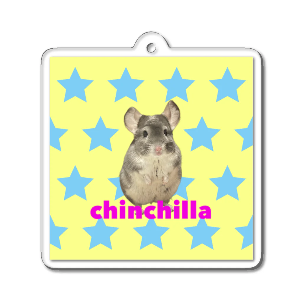 Guu のchinchilla saa Acrylic Key Chain