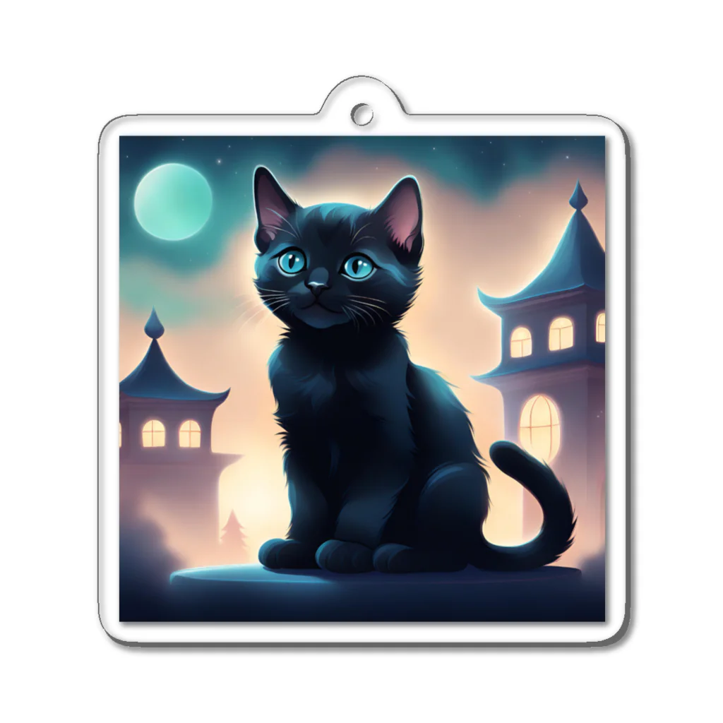 1shina2の夜猫 Acrylic Key Chain