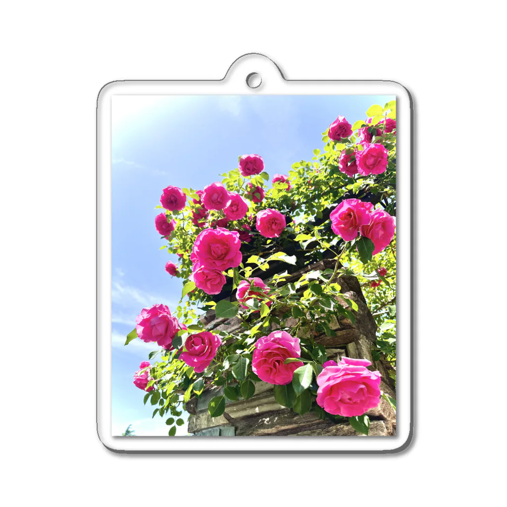 maikoのショップの薔薇と青空 Acrylic Key Chain