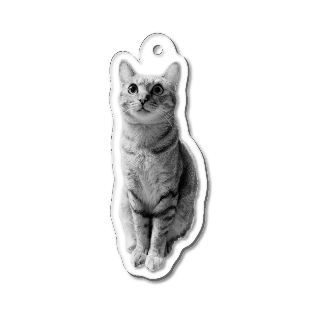 深夜の猫屋さんのしんやねこ Acrylic Key Chain