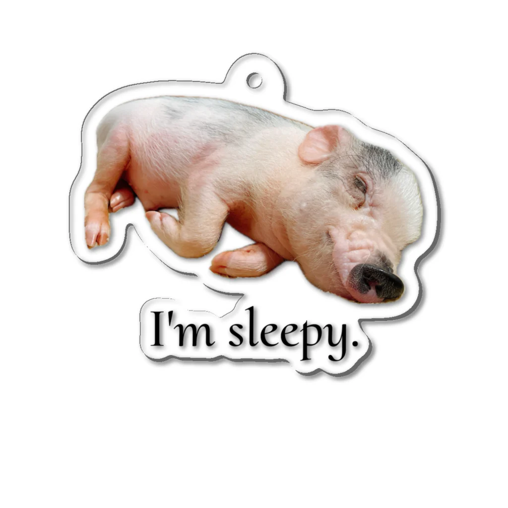 マイクロブタのまっはくんのI'm sleepy. Acrylic Key Chain