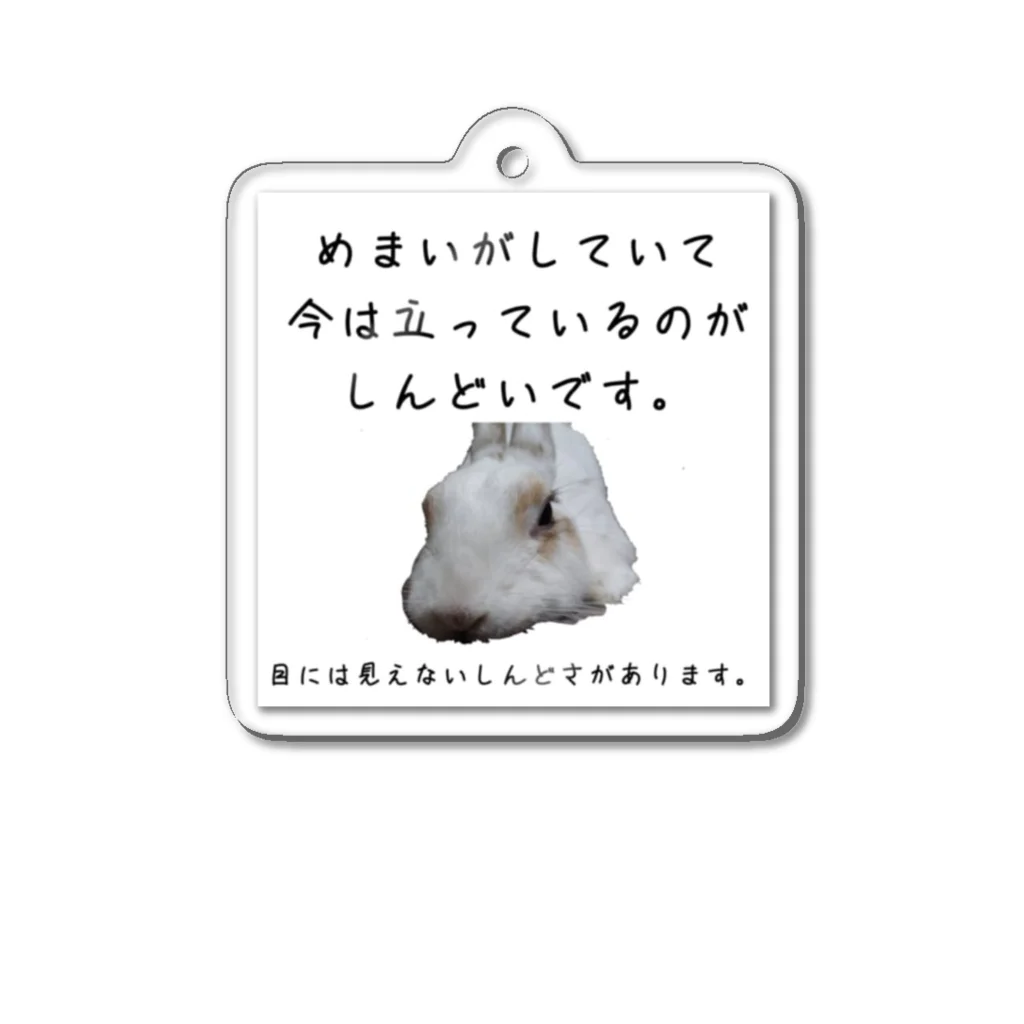 えり🐰らてましゅ🐰絵本出版中のめまいがするラテちゃん Acrylic Key Chain