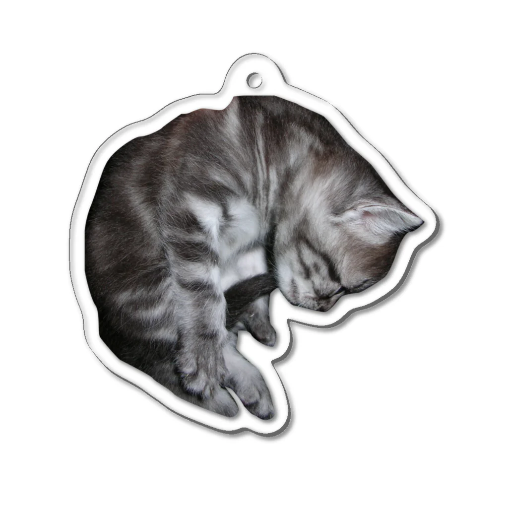 にゃんこ堂 By TeamD2Eの001 首根っこねこＡ Acrylic Key Chain