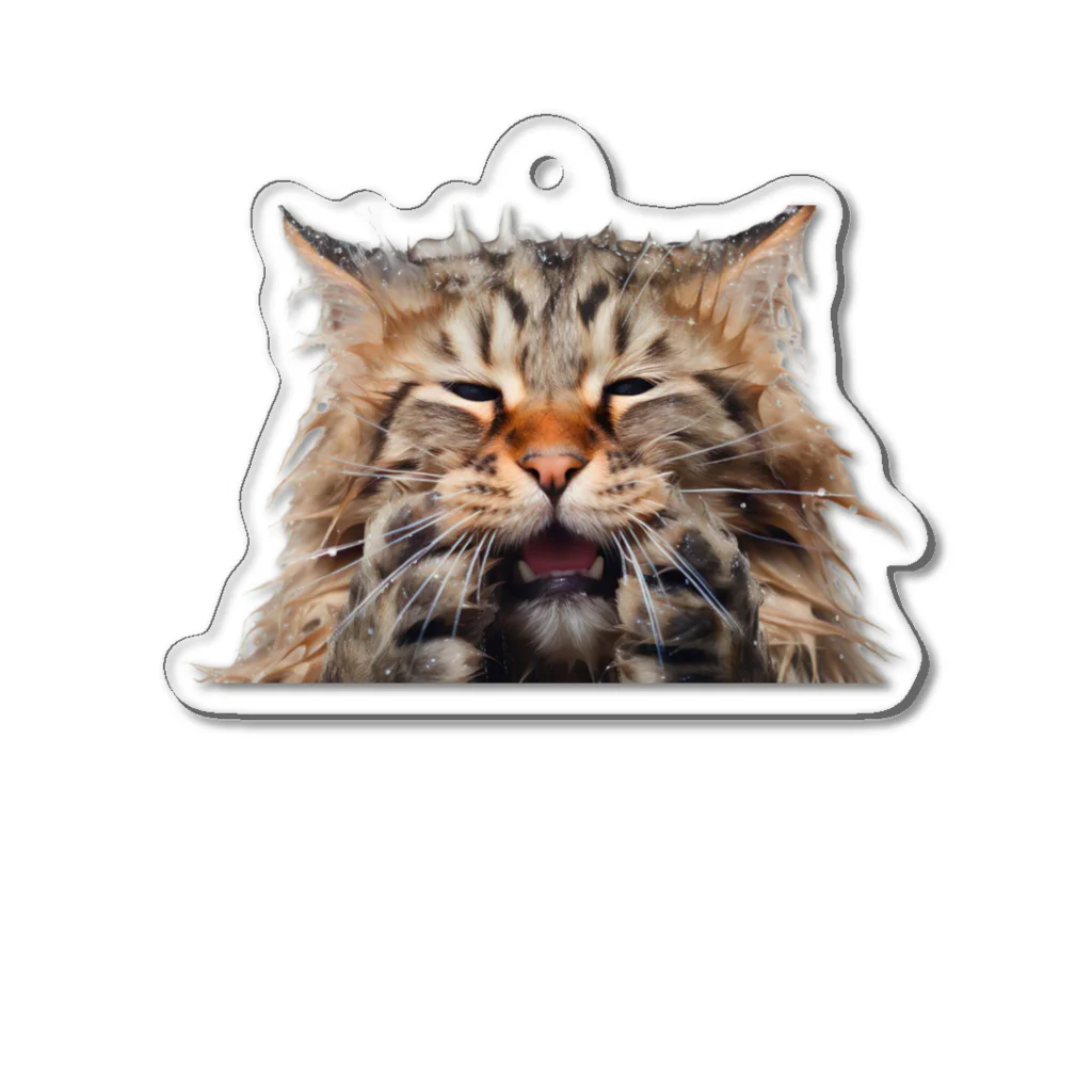 日向ぼっこのずぶ濡れ猫 Acrylic Key Chain