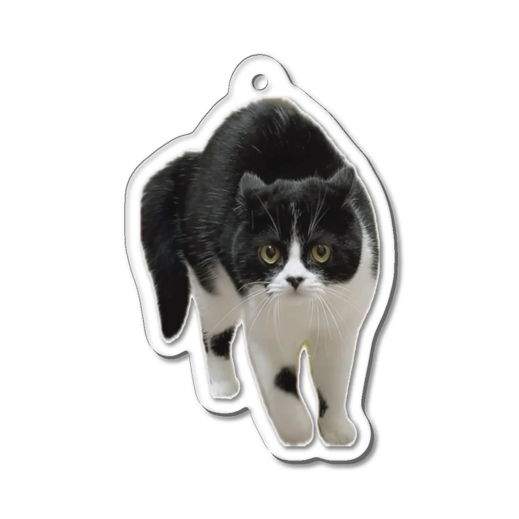 さぶろうまみれ🐾のやんのかさぶろう Acrylic Key Chain