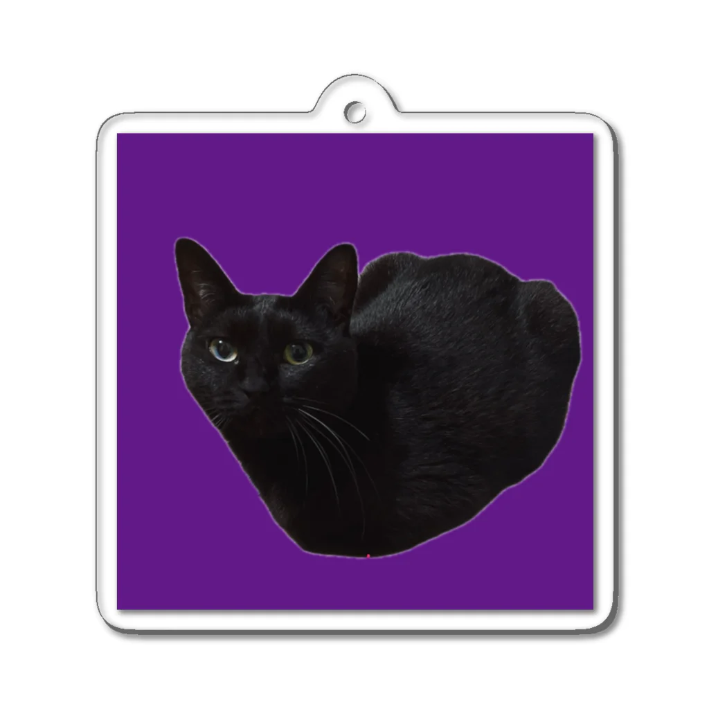 Quucocoの黒猫ココちゃん Acrylic Key Chain