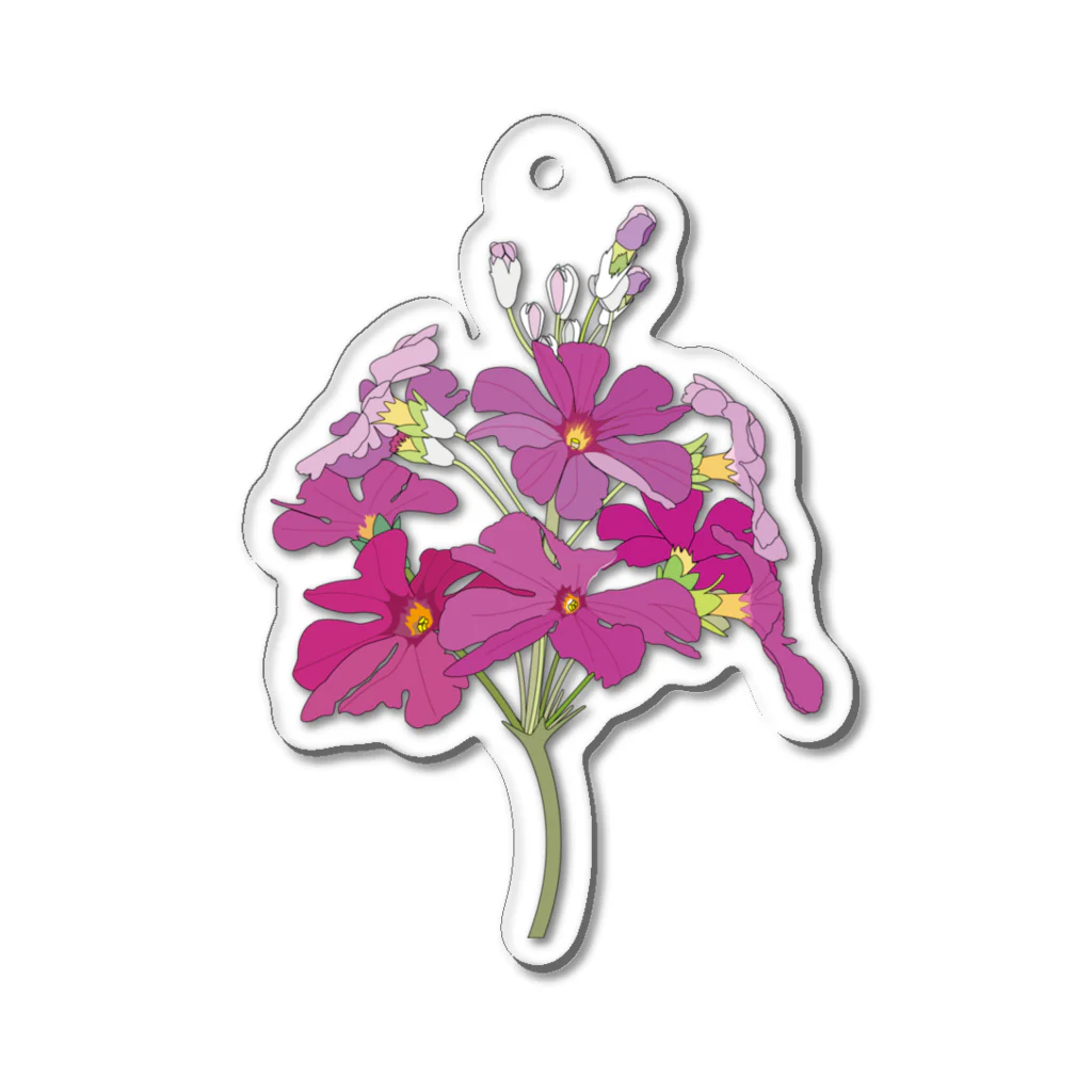 植物の絵師「洋子」の店の可愛い野の春の花_イモカタバミ Acrylic Key Chain