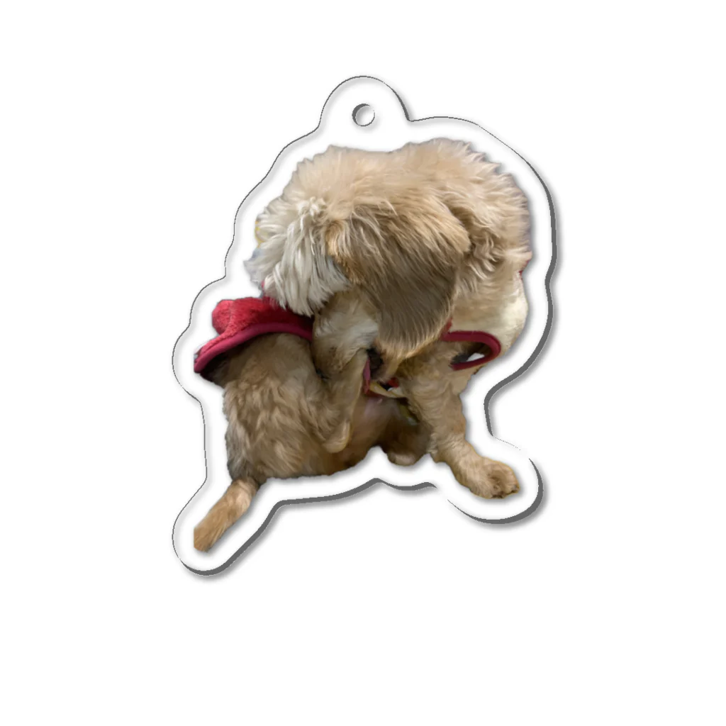 Ruice-Iceの犬　ガジガジ Acrylic Key Chain