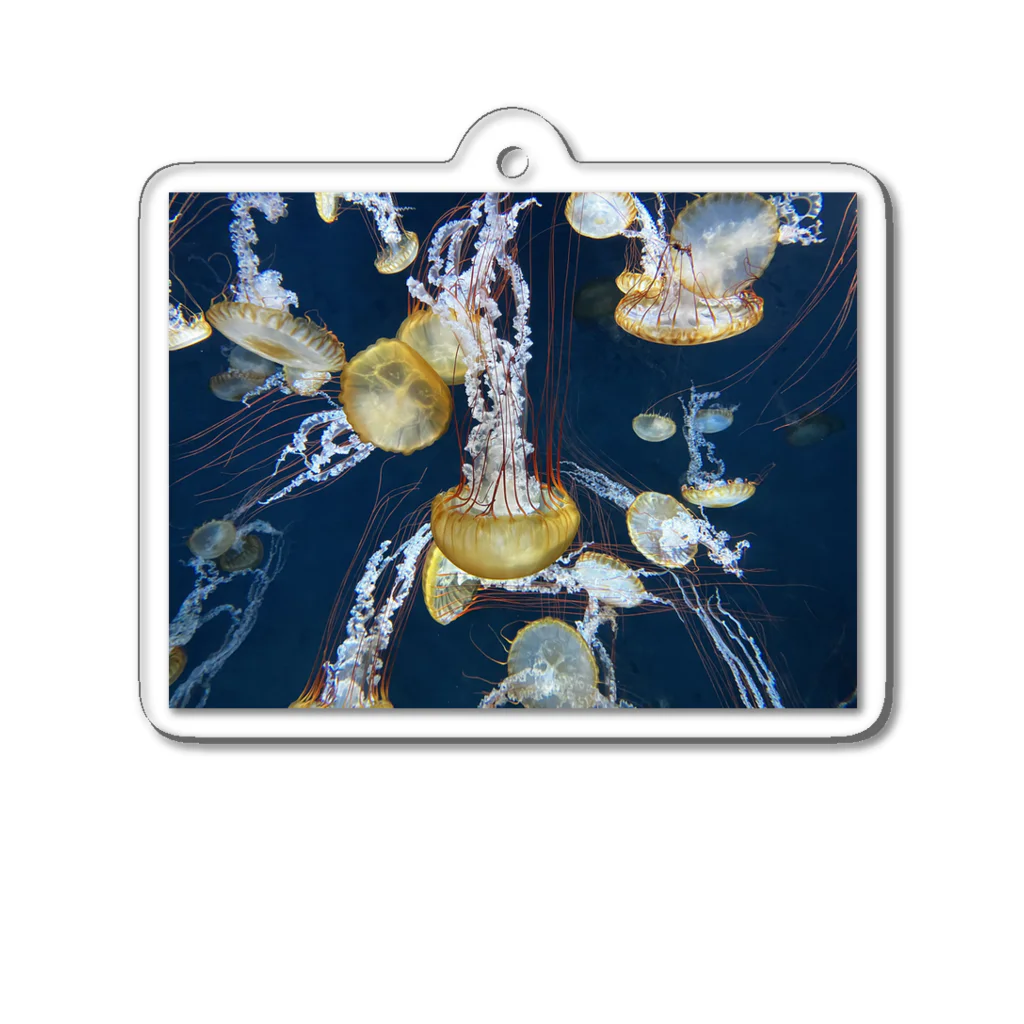 Matsutake3のパシフィックシーネットル Acrylic Key Chain