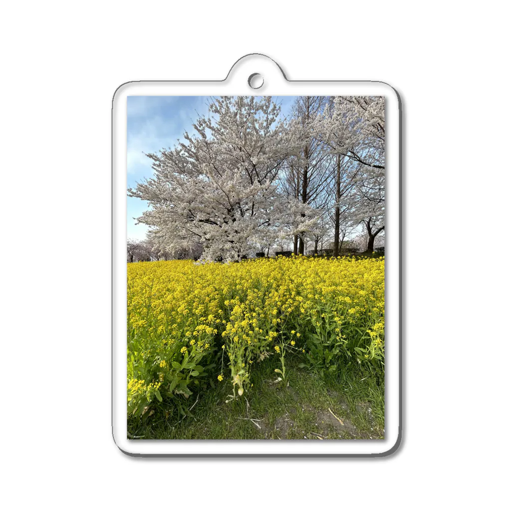 枯れ親父の店の菜の花と桜のKISS Acrylic Key Chain