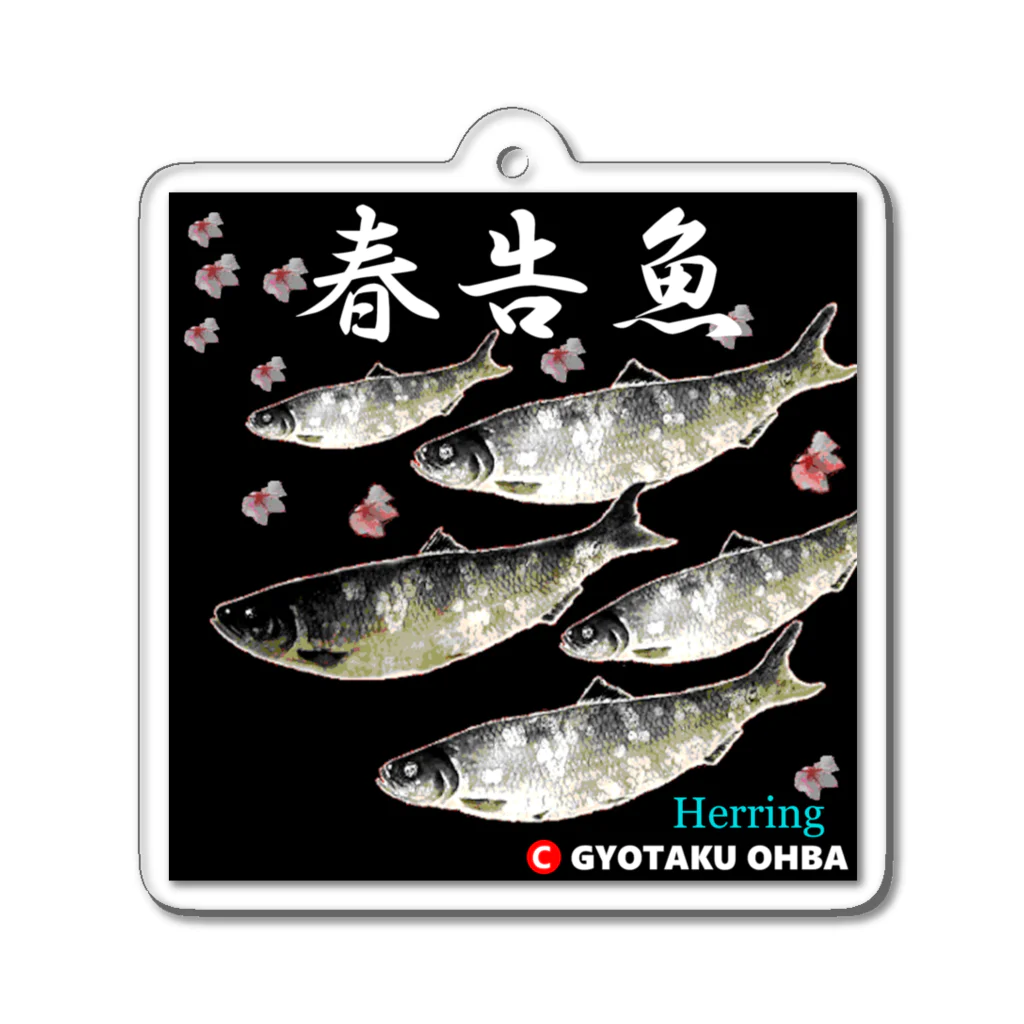 G-HERRINGの春告魚　鰊（ニシン）あらゆる生命たちへ感謝をささげます。 Acrylic Key Chain