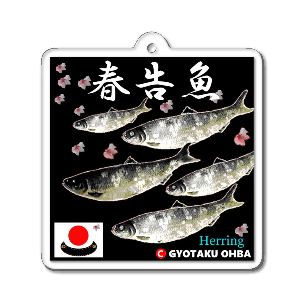 G-HERRINGの春告魚　鰊（ニシン）あらゆる生命たちへ感謝をささげます。 Acrylic Key Chain