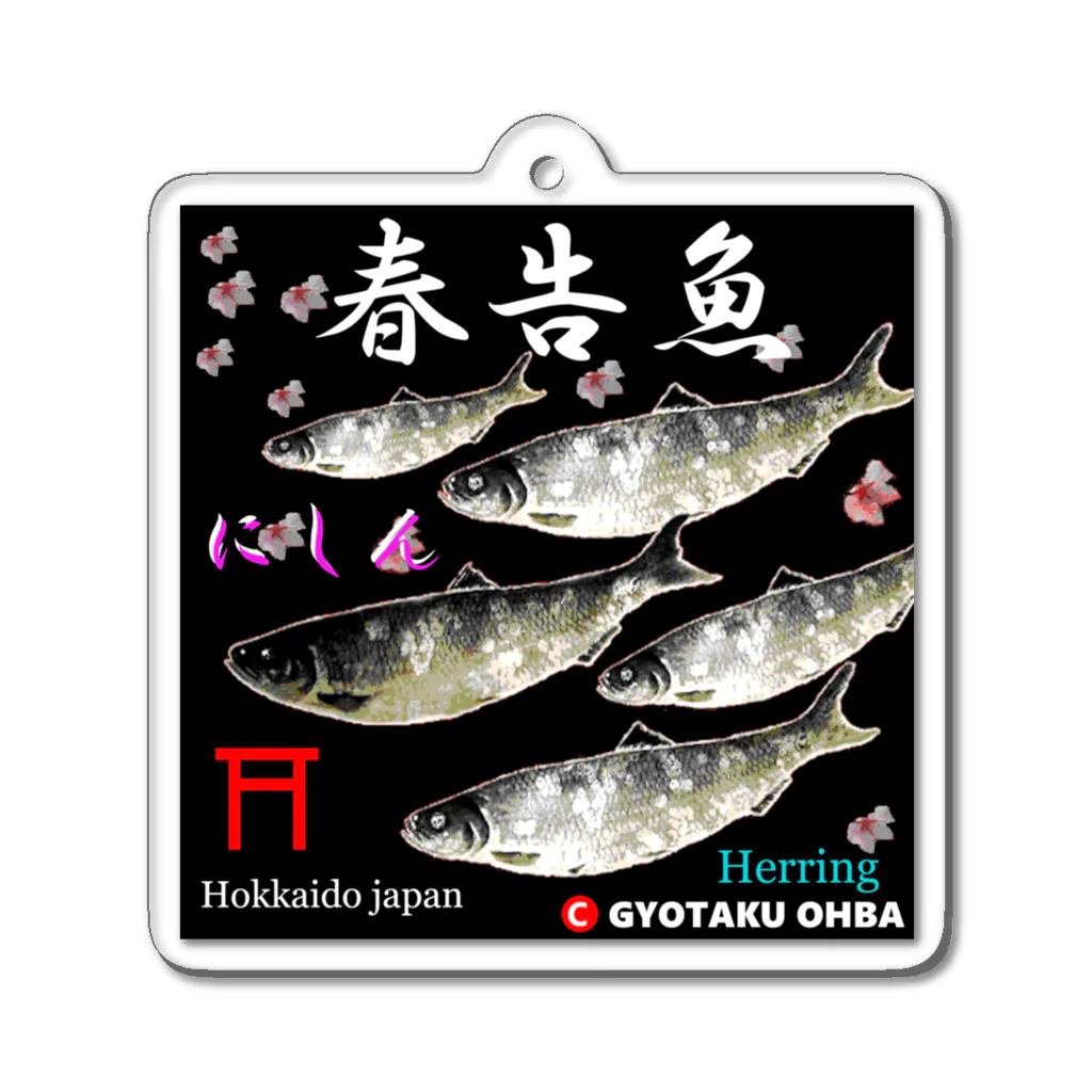 G-HERRINGの春告魚　鰊  鳥居（ニシン；Hokkaido japan）あらゆる生命たちへ感謝をささげます。 Acrylic Key Chain