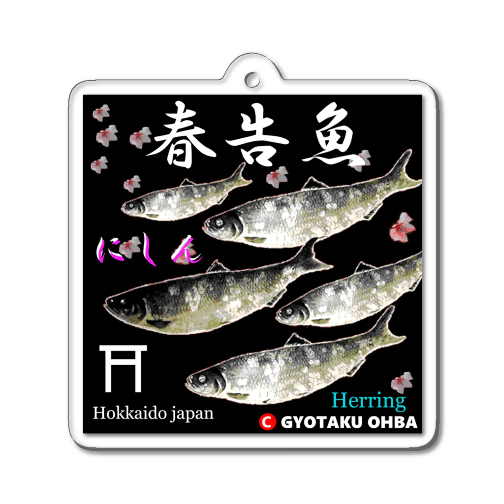 G-HERRINGの春告魚　鰊  鳥居（ニシン；Hokkaido japan）あらゆる生命たちへ感謝をささげます。 Acrylic Key Chain