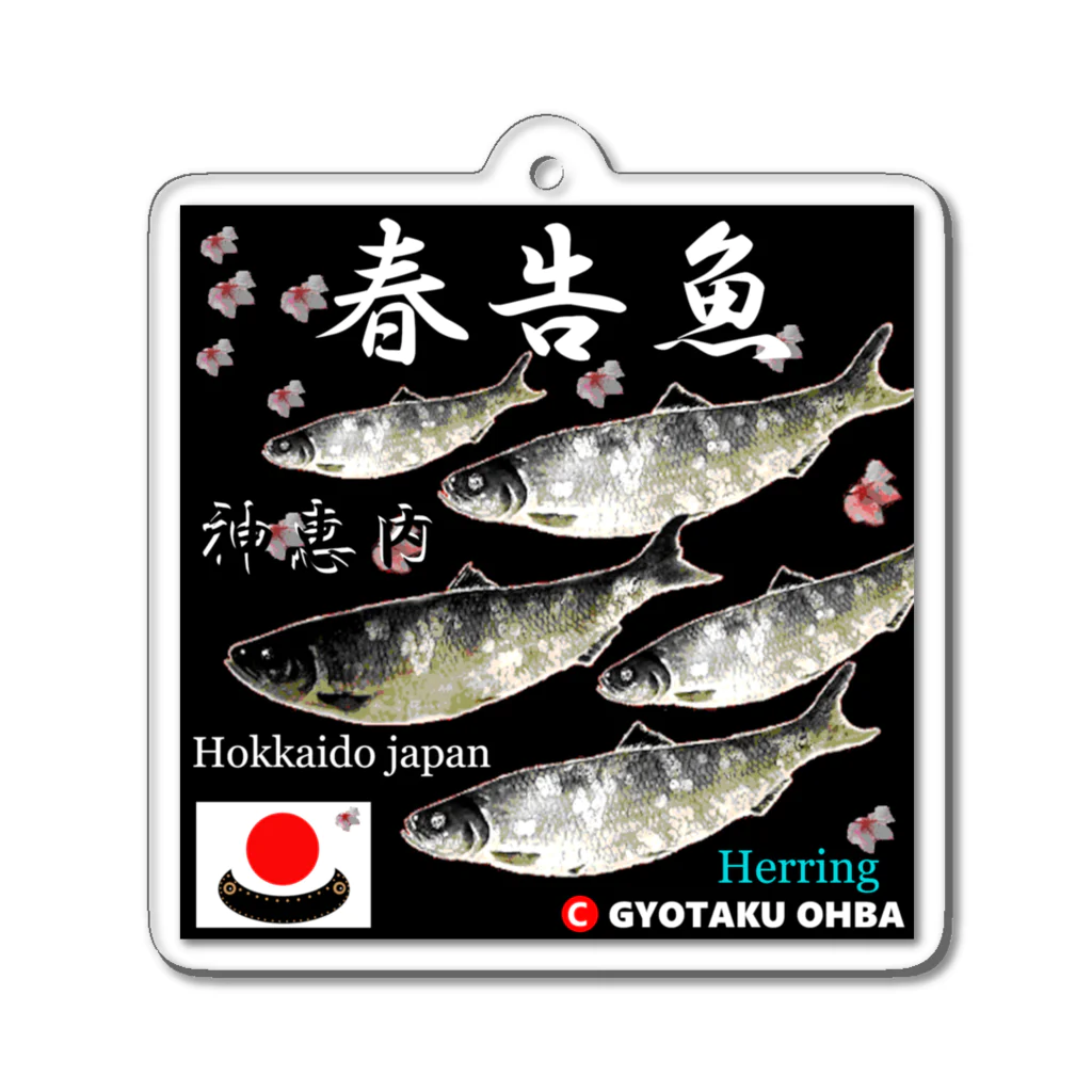 G-HERRINGの春告魚　神恵内（鰊；ニシン；Hokkaido japan）あらゆる生命たちへ感謝をささげます。 アクリルキーホルダー