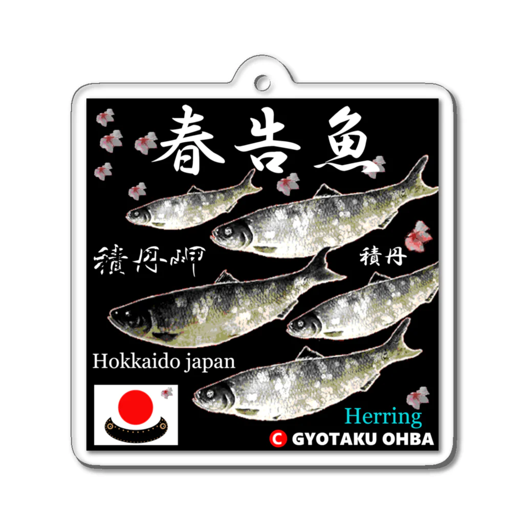 G-HERRINGの春告魚　積丹岬（鰊；ニシン；Hokkaido japan）あらゆる生命たちへ感謝をささげます。 アクリルキーホルダー