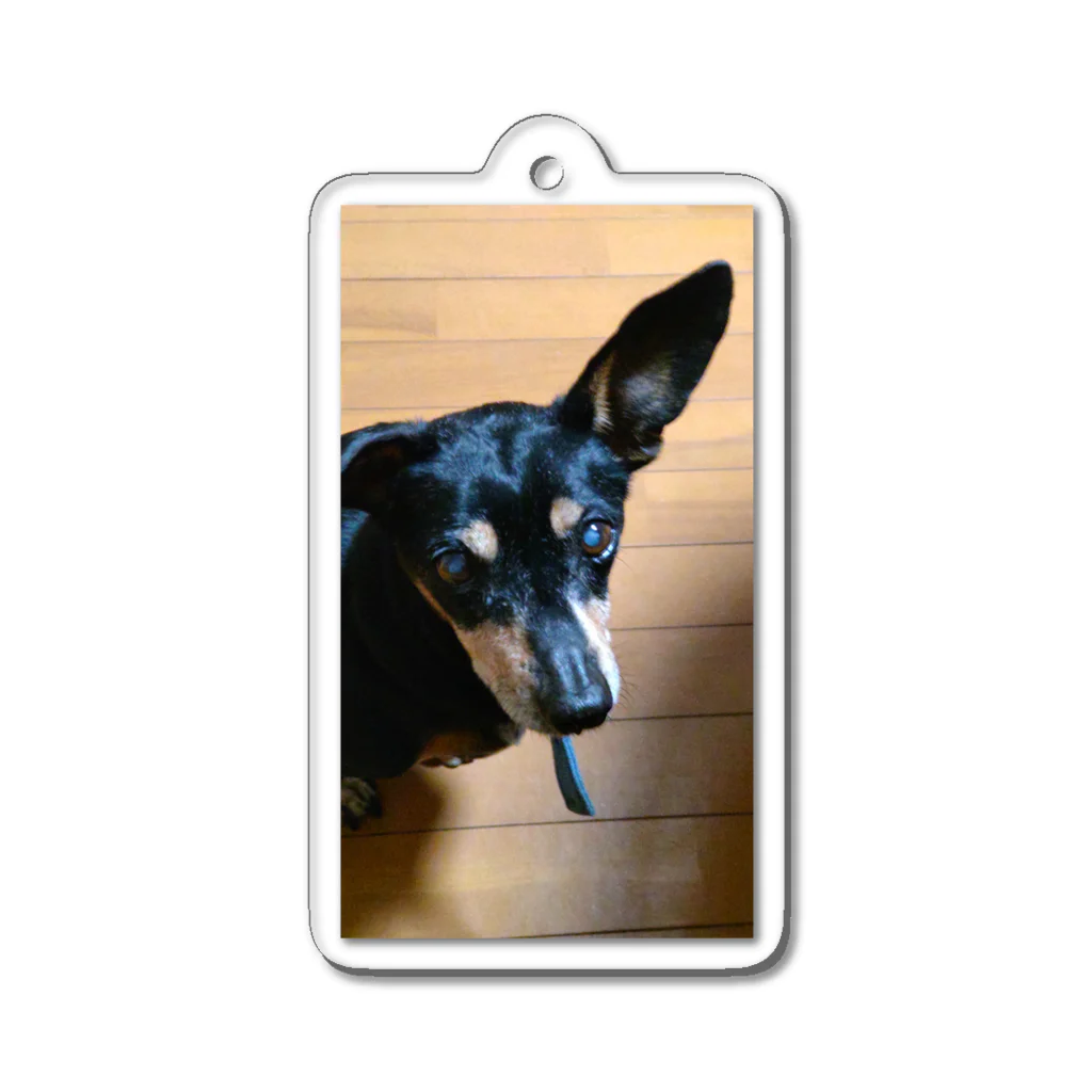 watama33の左耳立犬 Acrylic Key Chain