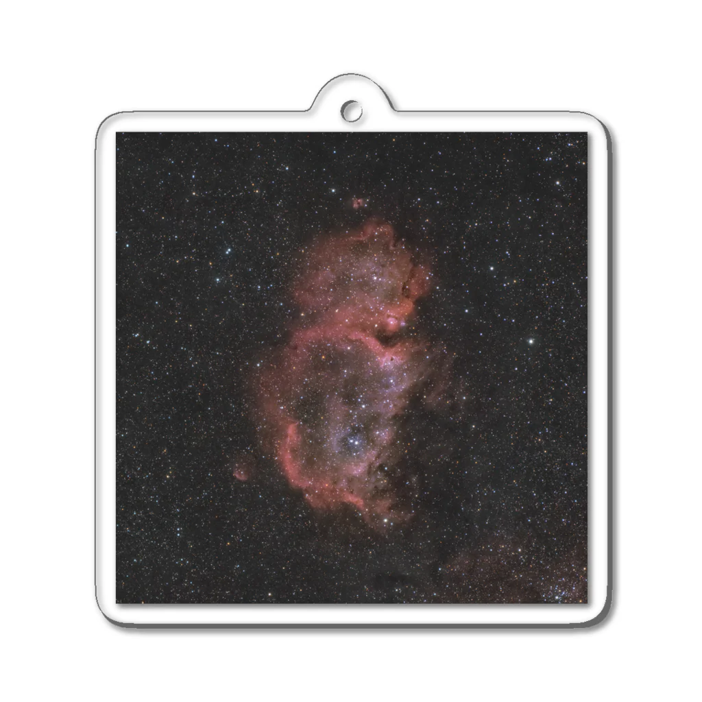 S204_Nanaの胎児星雲 Acrylic Key Chain