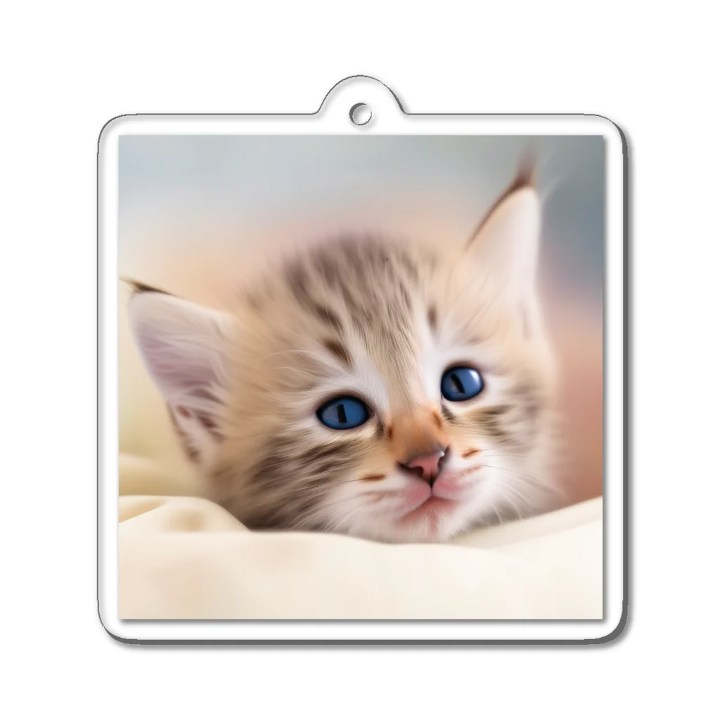 ks-staffの😺癒し猫シリーズ💖 Acrylic Key Chain