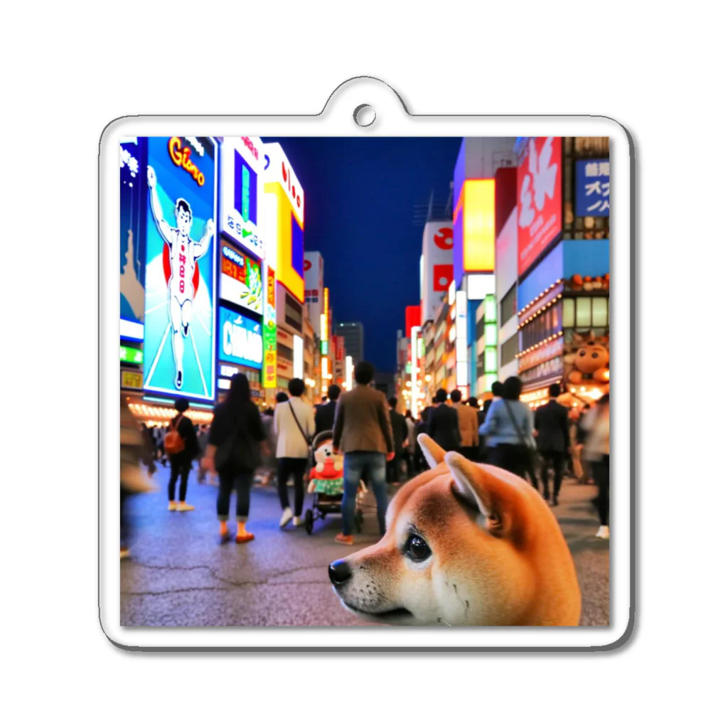 japantravelの柴犬の大坂散歩 アクリルキーホルダー