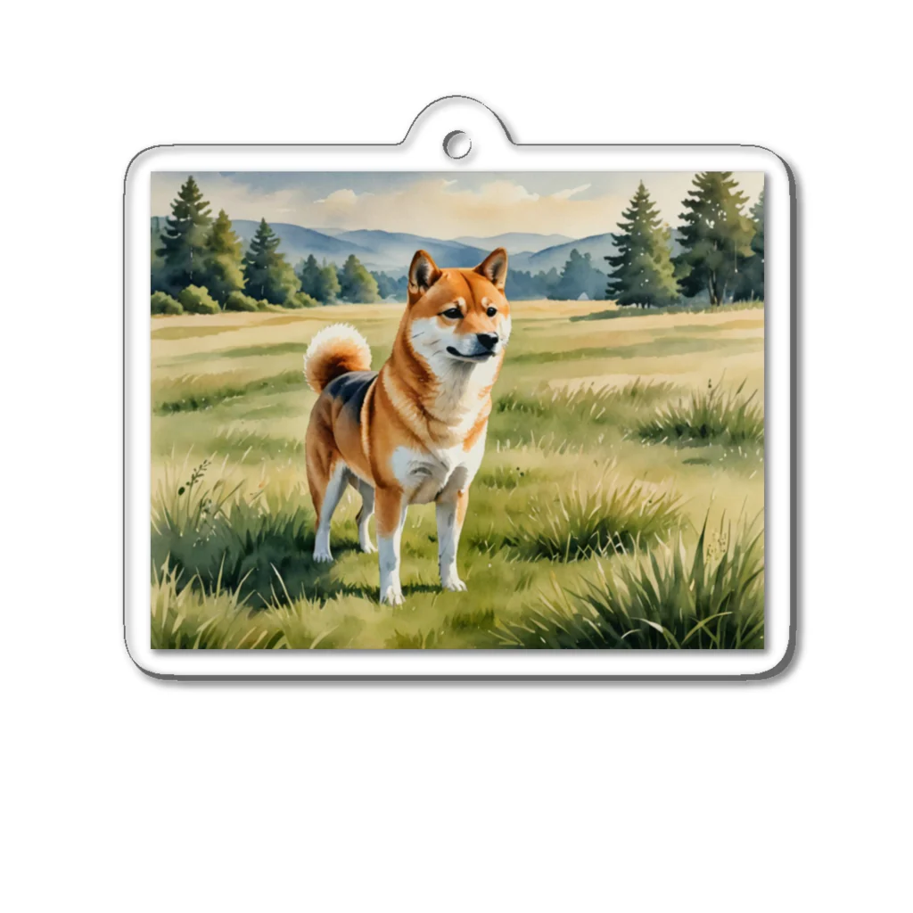 Animal Illustration shopの柴犬　Shiba Inu　水彩画風 アクリルキーホルダー