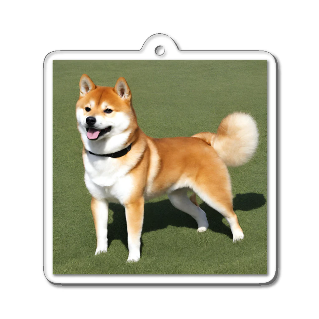 柴犬大好きマンのかわいい柴犬　赤毛 Acrylic Key Chain