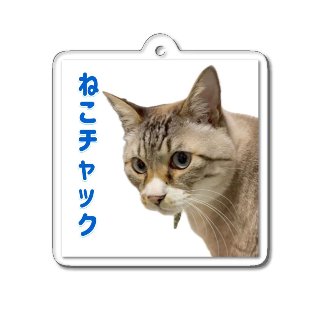 チャック Chuckのねこチャック Acrylic Key Chain