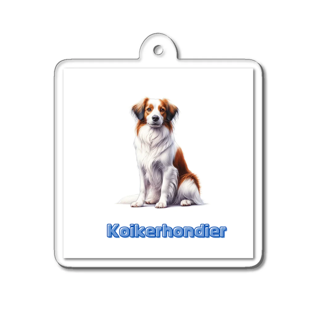 29chanのkoikerhondier犬 Acrylic Key Chain