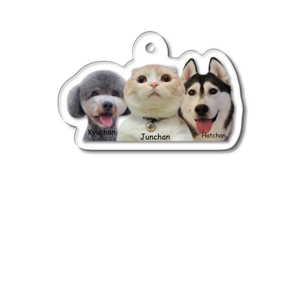 犬と猫の親バカ日記【公式グッズ】のキーホルダー　犬と猫の親バカ日記 Acrylic Key Chain