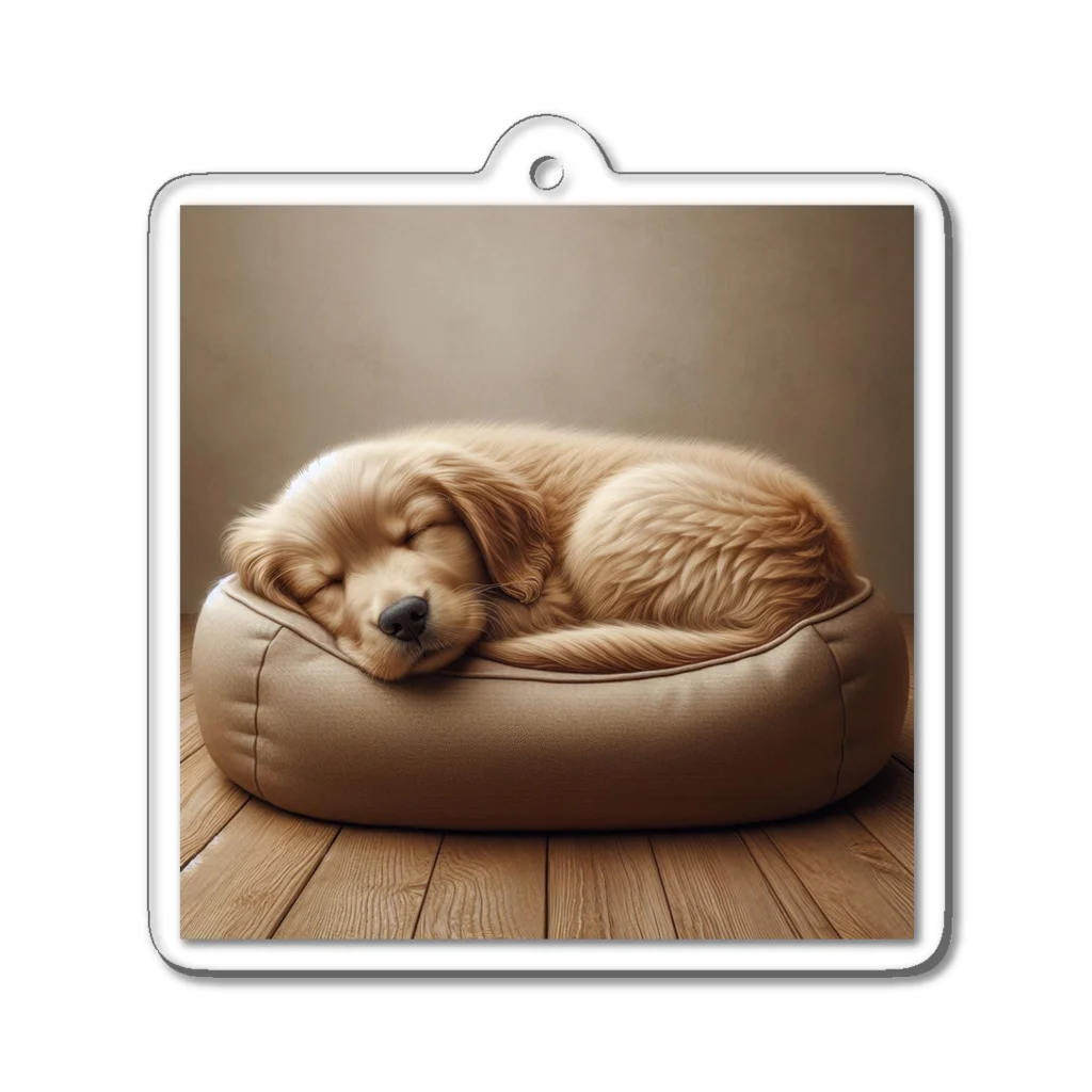 bibiboshopの犬 Acrylic Key Chain