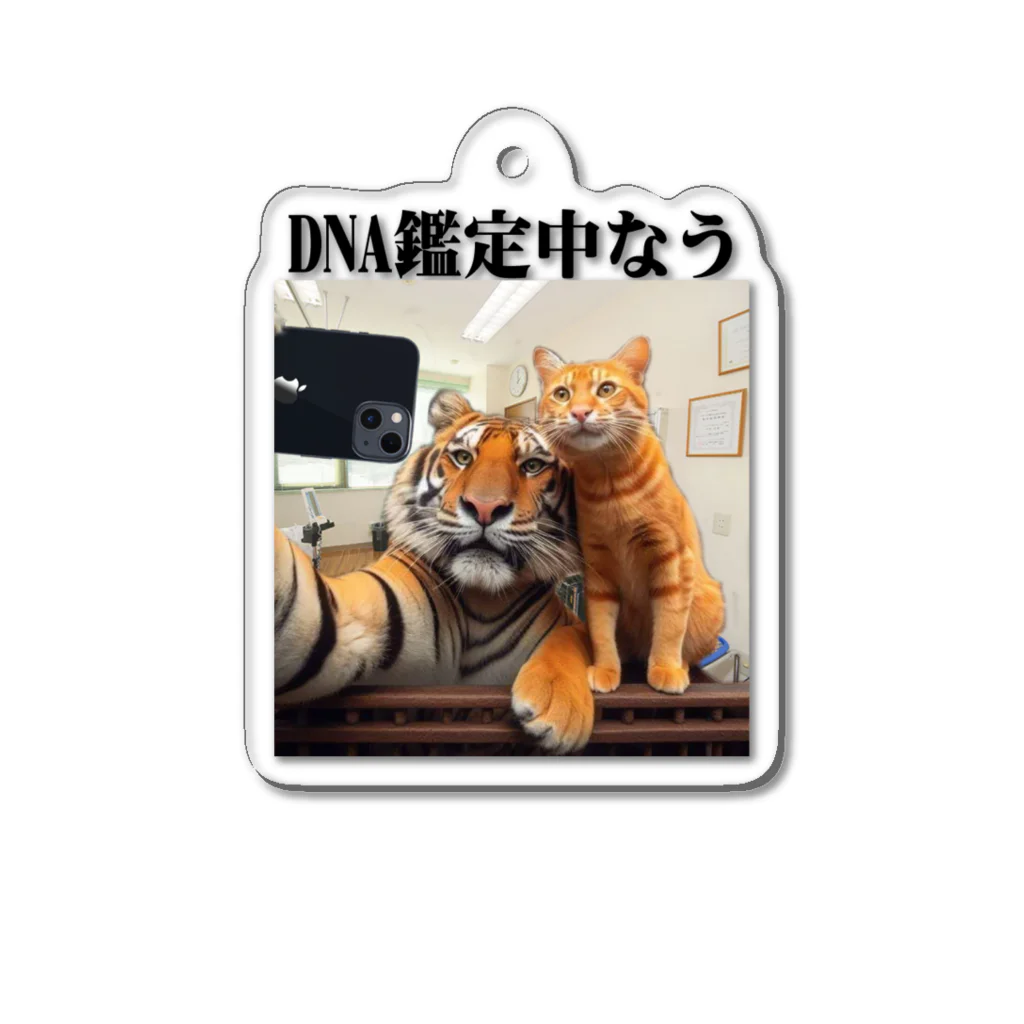 ニゴ猫　shopのDNA鑑定中なう アクリルキーホルダー