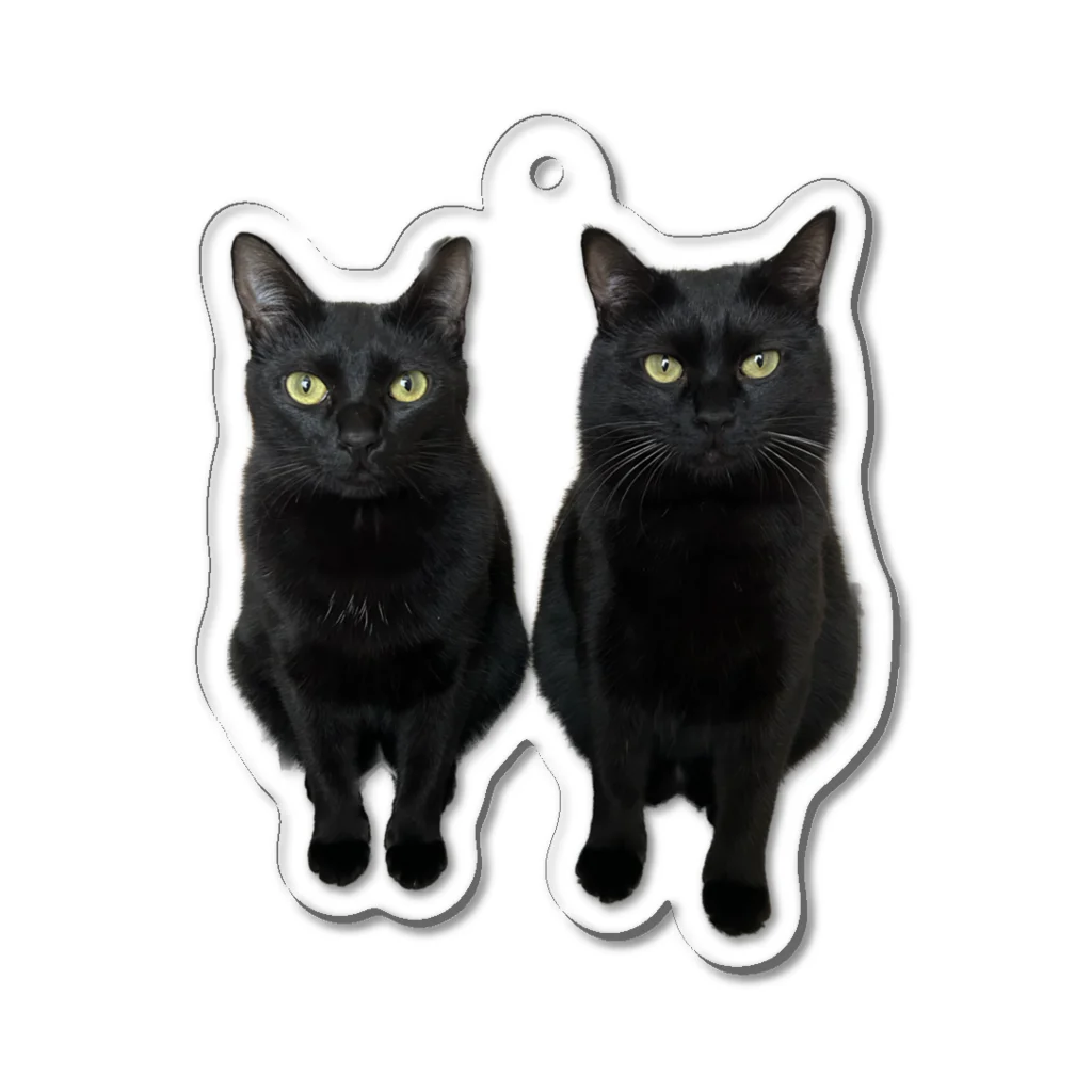 miracle catsのdrink Acrylic Key Chain