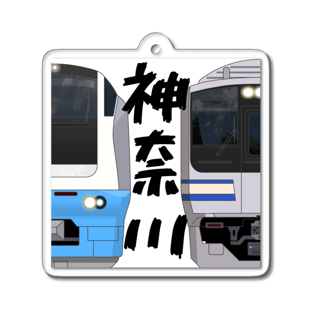 sushima_graphical_trains / SHI-DEの神奈川の列車No.21_E653系 / E217系 Acrylic Key Chain