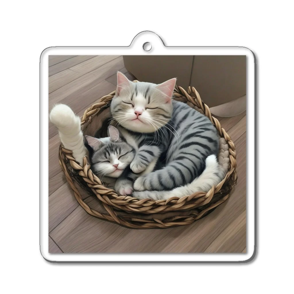 恥ずかしがり屋のねこショップのcute cat sleeping Acrylic Key Chain