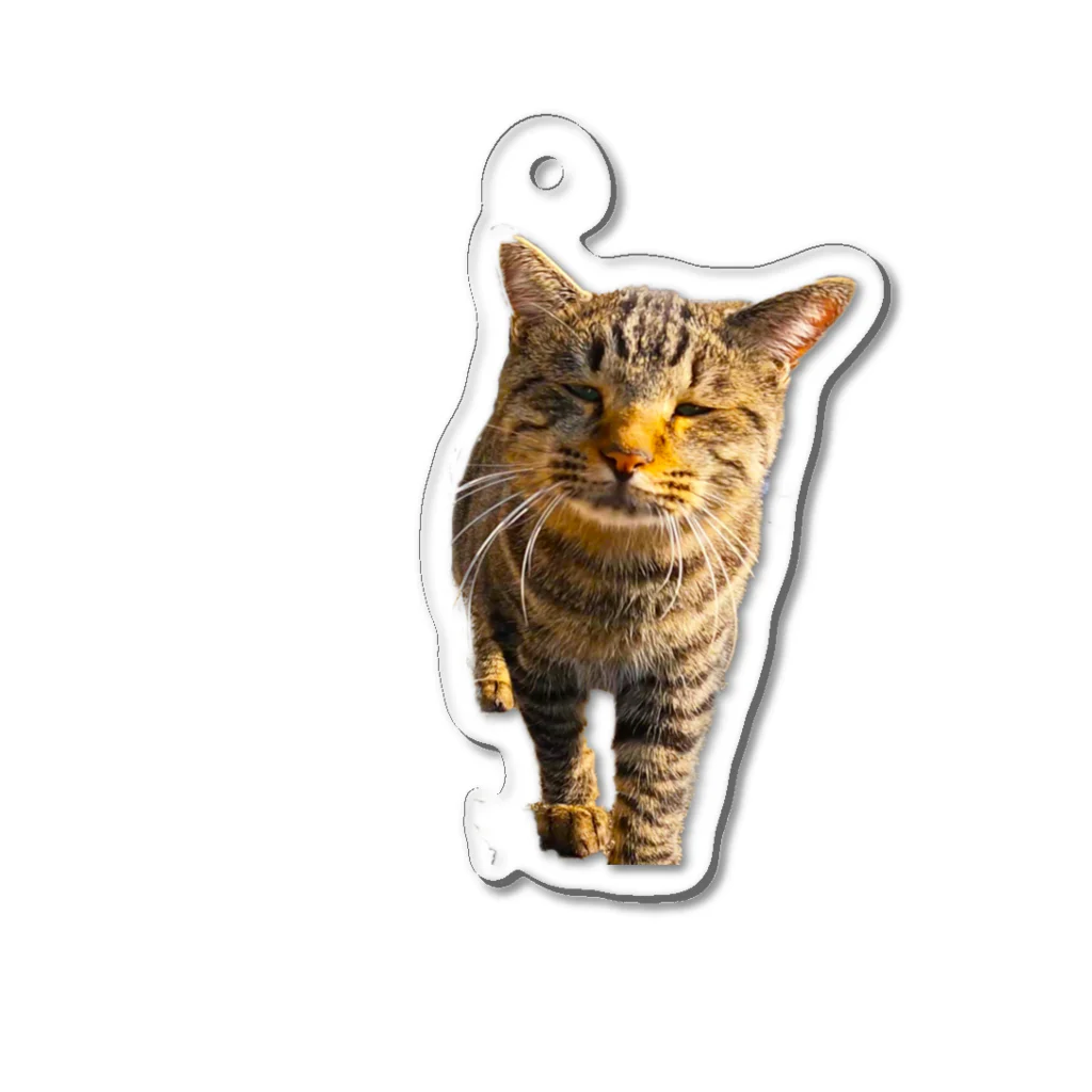 猫島のじかんのごめ～んにゃさい Acrylic Key Chain