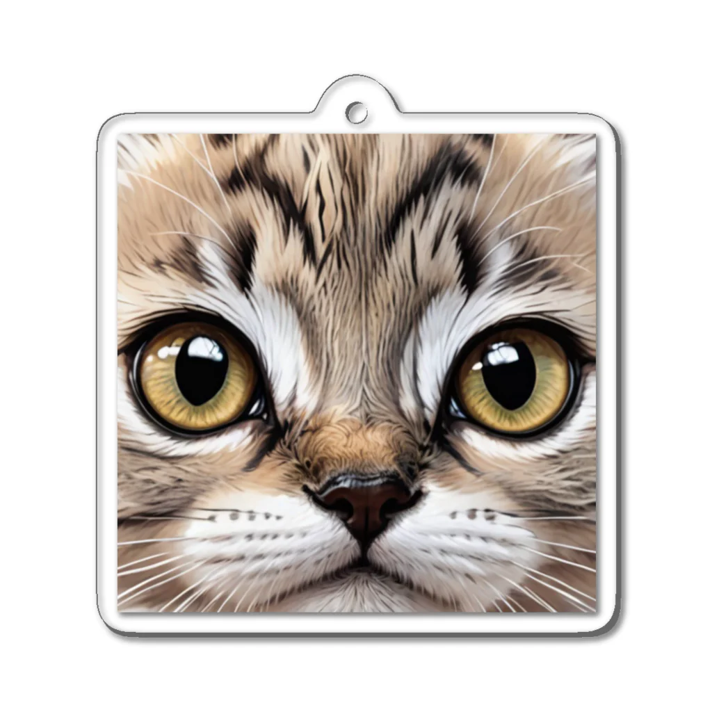 HIROICの近接子猫 Acrylic Key Chain