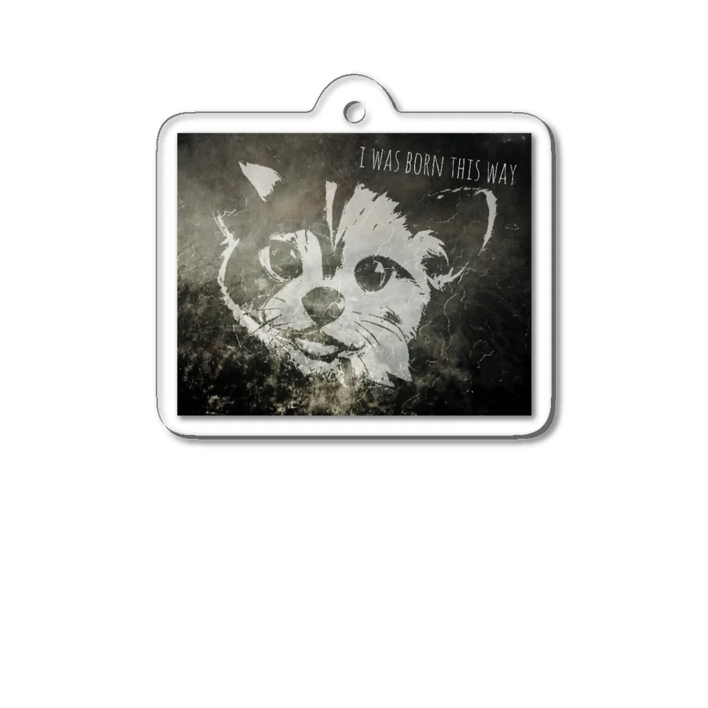 D7C7DC?B1のsmiley cat Acrylic Key Chain