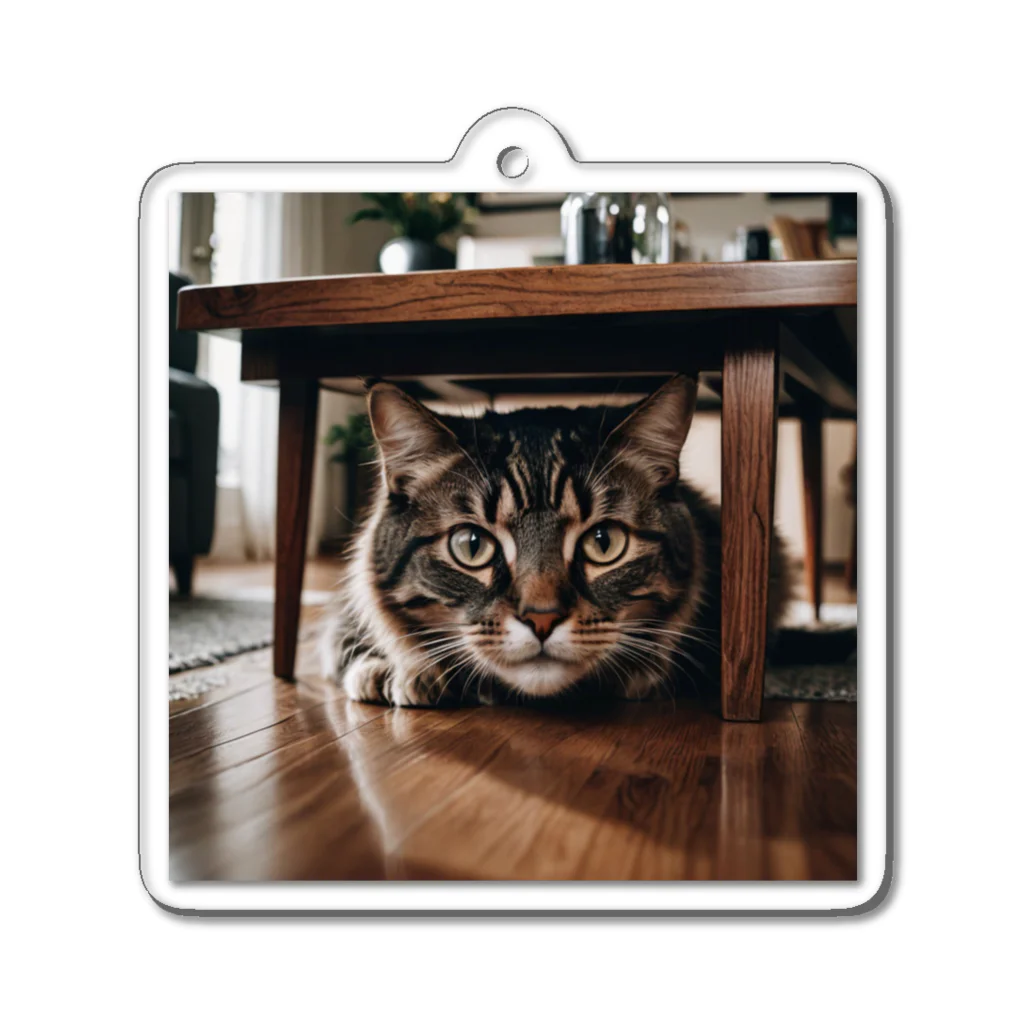 zigerparkの隠れる猫 Acrylic Key Chain