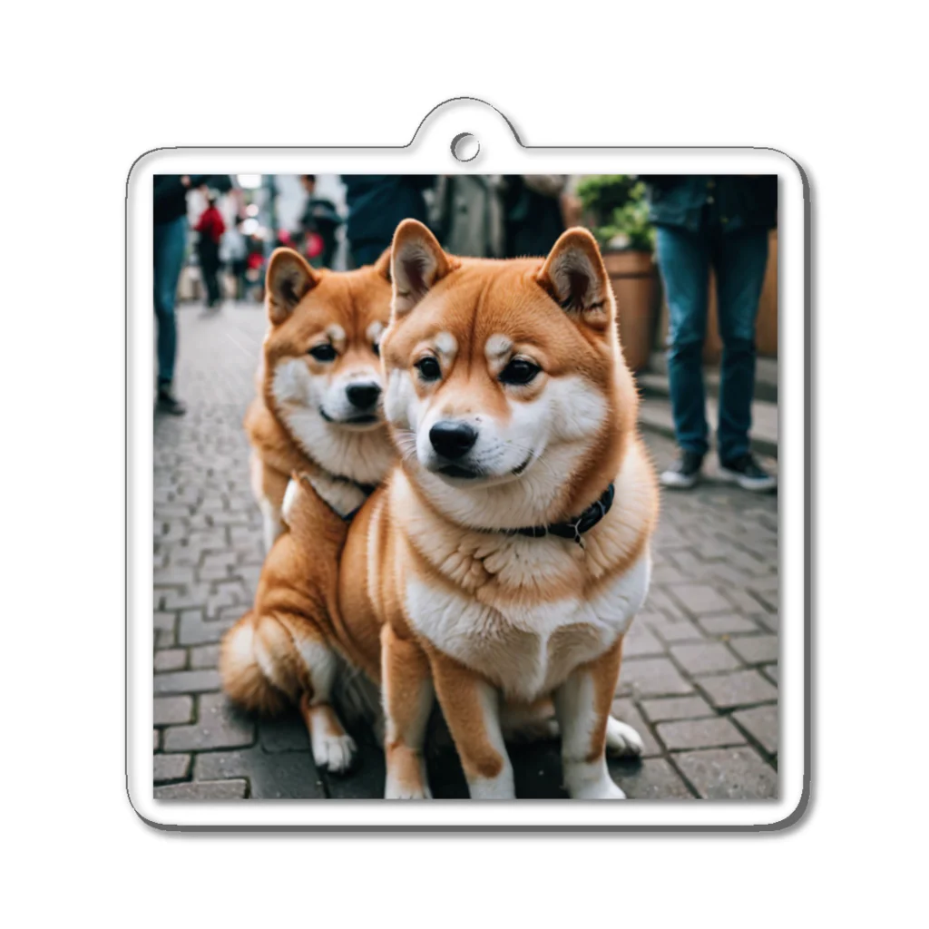 kaerinofficeの2匹のかわいい柴犬が仲良く並んで写っています。 Acrylic Key Chain