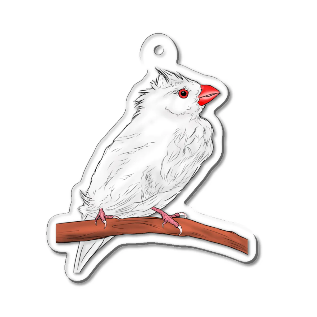 Lily bird（リリーバード）の水浴び文鳥 カラー Acrylic Key Chain