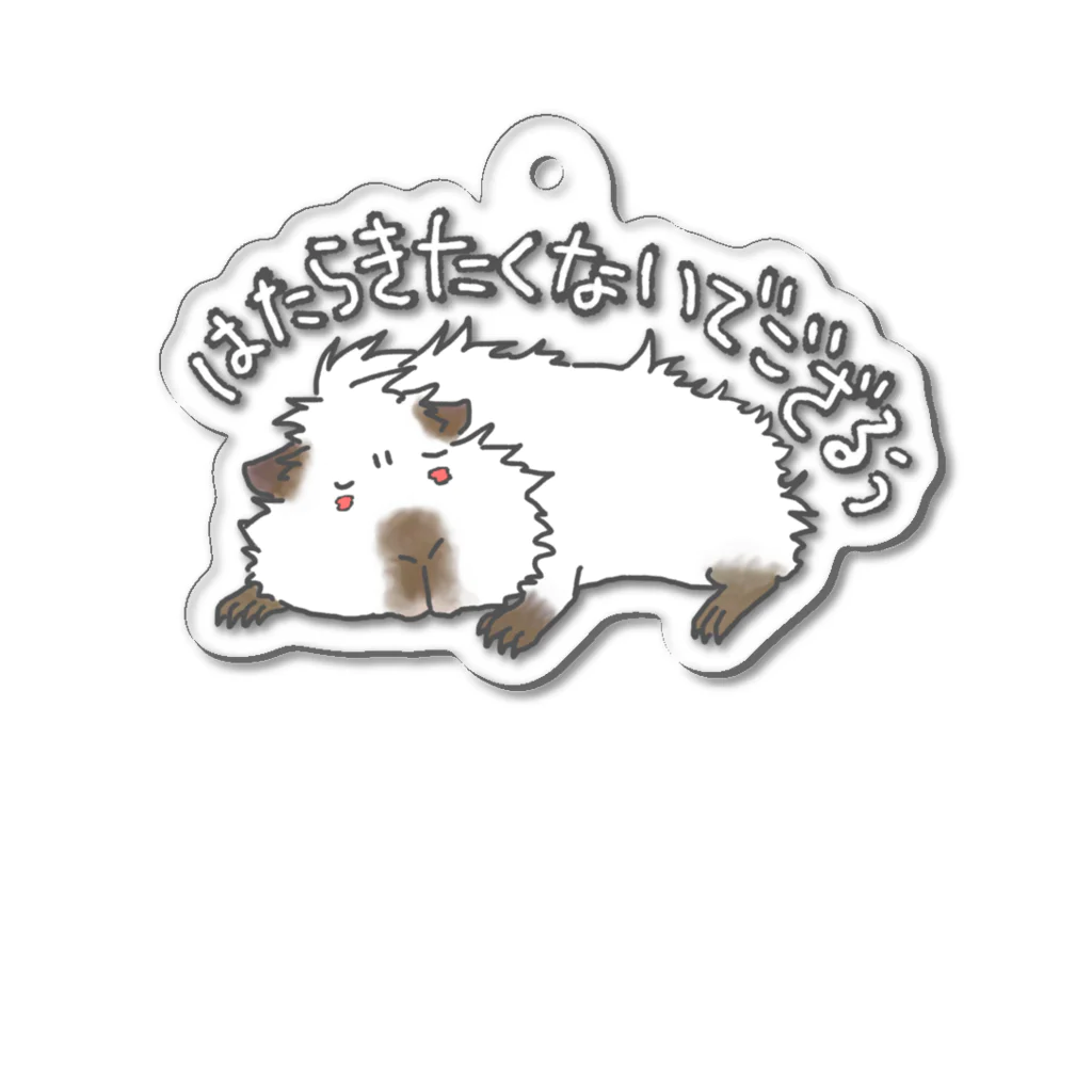 【モルモット】Mugi & Ruki【四国犬】の働きたくない モルモット Acrylic Key Chain