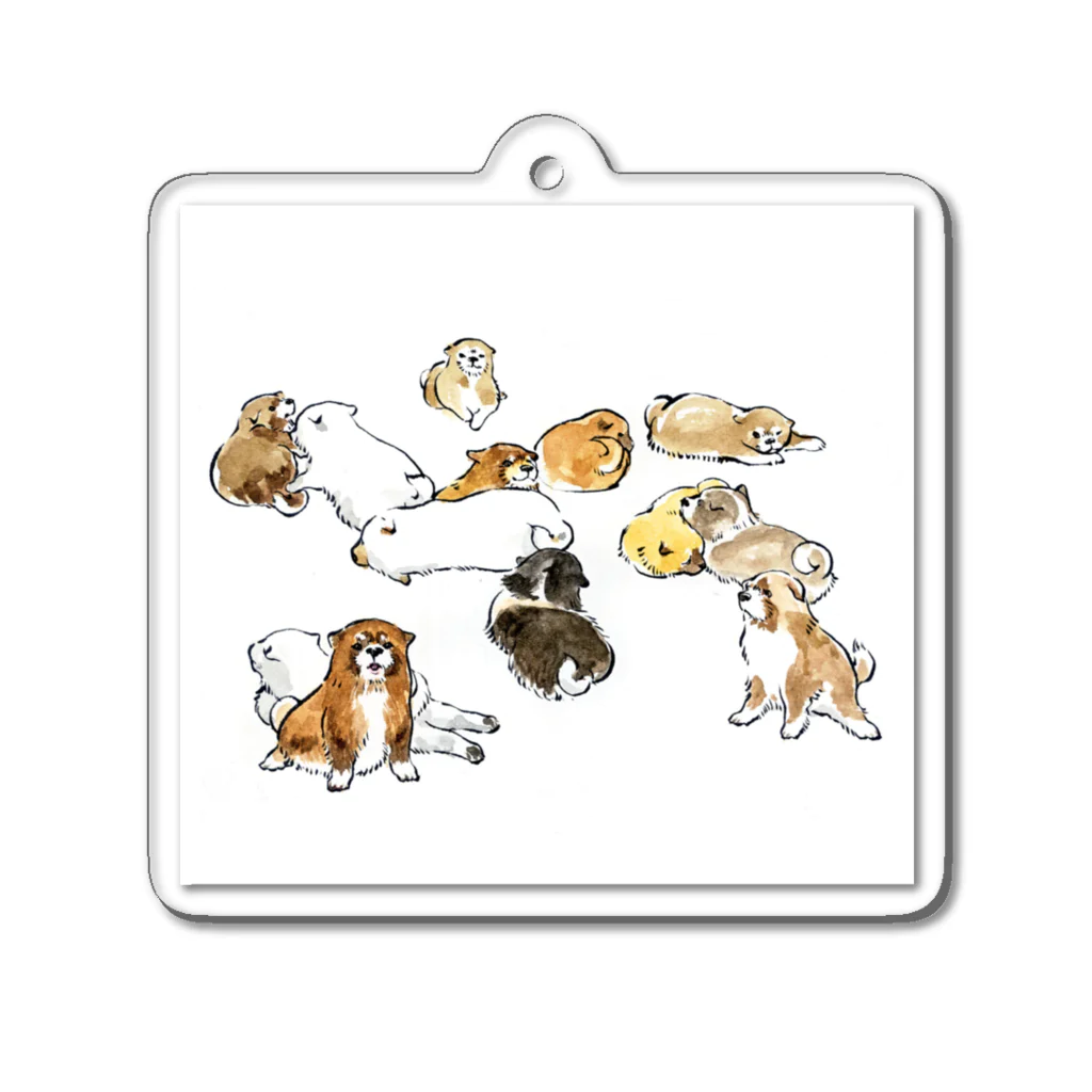 segasworksの仔犬 Acrylic Key Chain