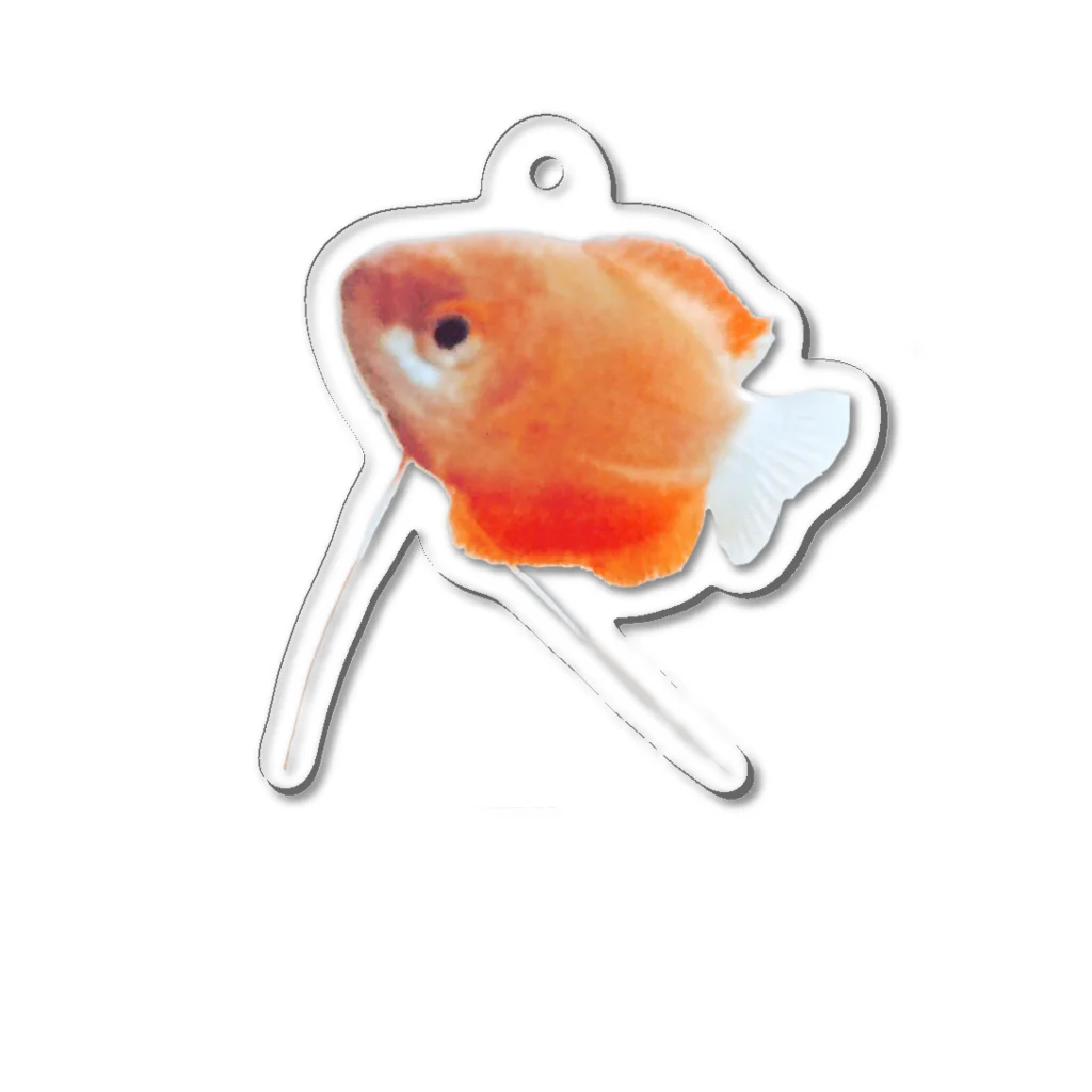 qqqqlmのgurami  Acrylic Key Chain