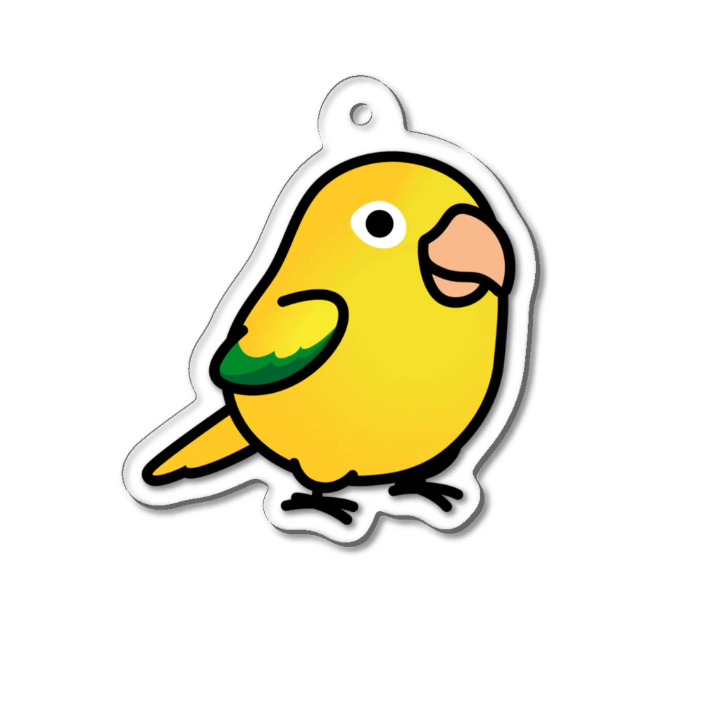 Cody the LovebirdのChubby Bird ニョオウインコ Acrylic Key Chain