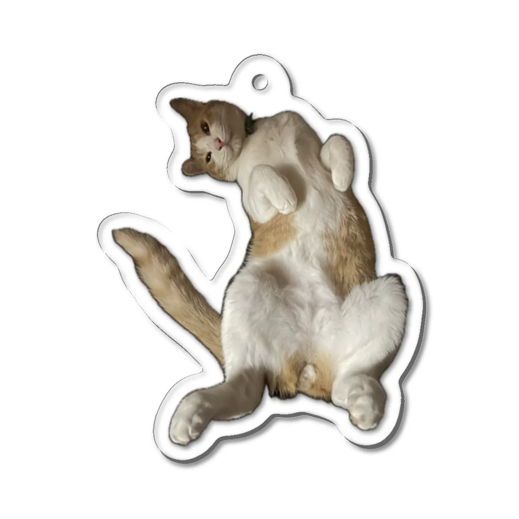 ねこまみれのにゃん❤️ Acrylic Key Chain